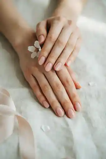 20 Adorable Oval Spring Nail Ideas for 2026 That Feel Fresh and Elegant